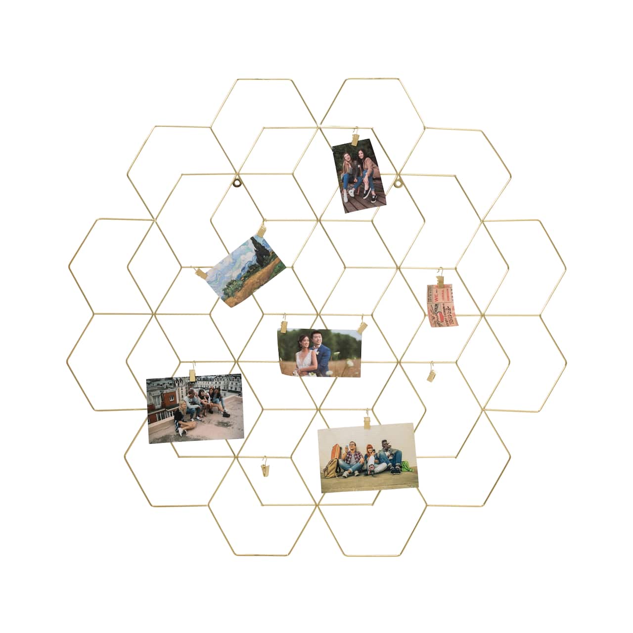 Honey Can Do Gold Hanging Photo Display Holder with Clips